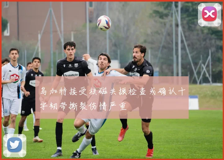 乌加特接受核磁共振检查或确认十字韧带撕裂伤情严重